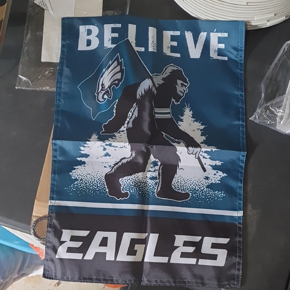 Philadelphia Eagles Garden Flag And Flag Holder - Green And Black - Picture 2 of 4